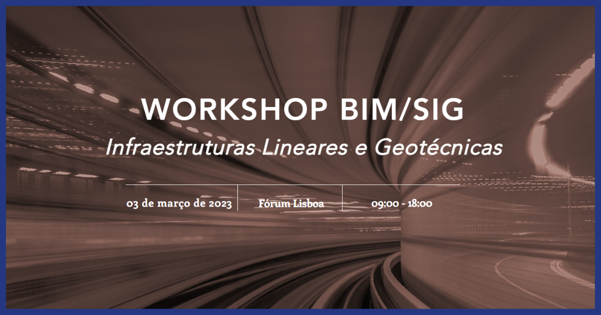 1º workshop BIM/SIG